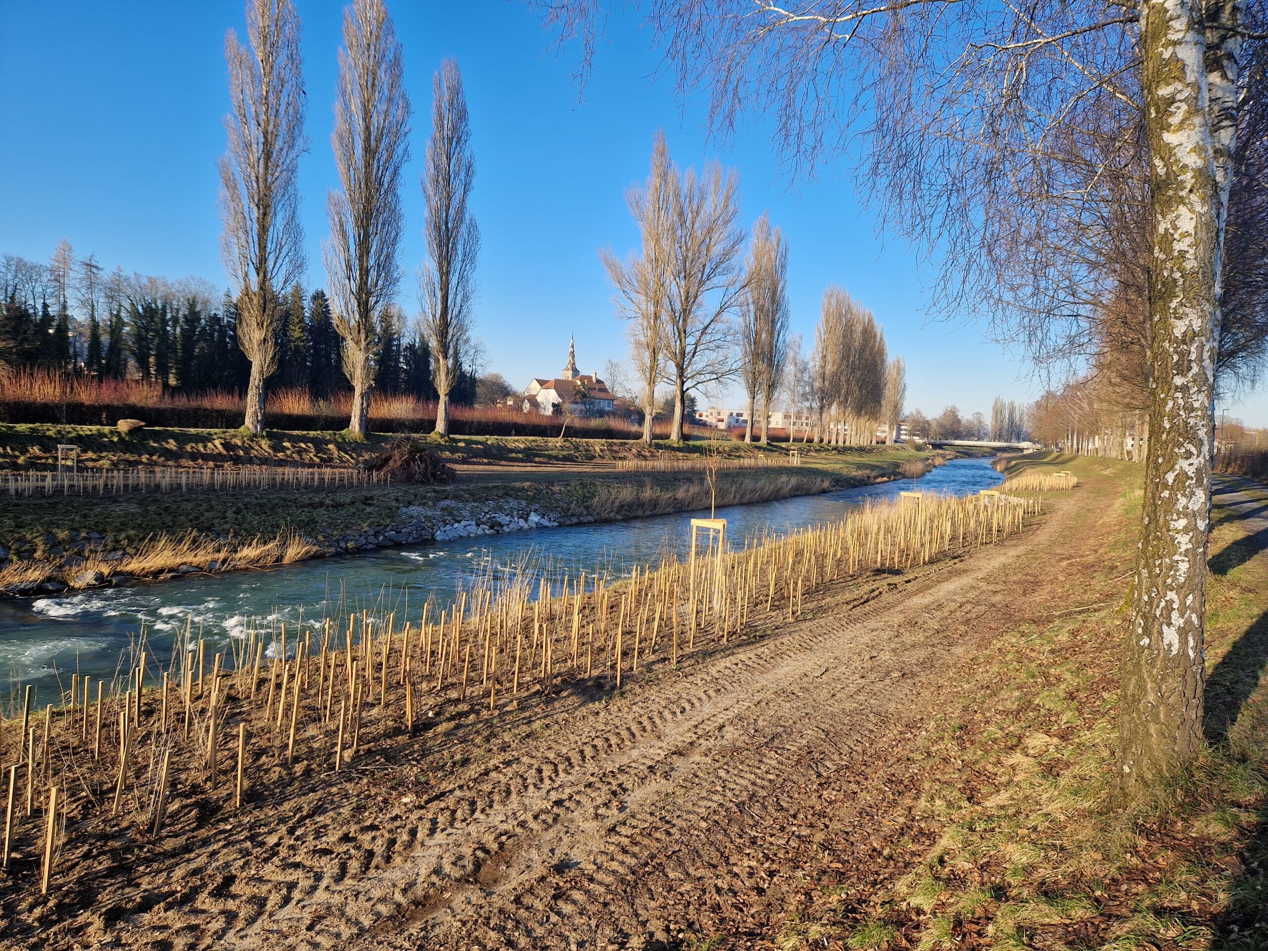 Renaturation de la Broye
