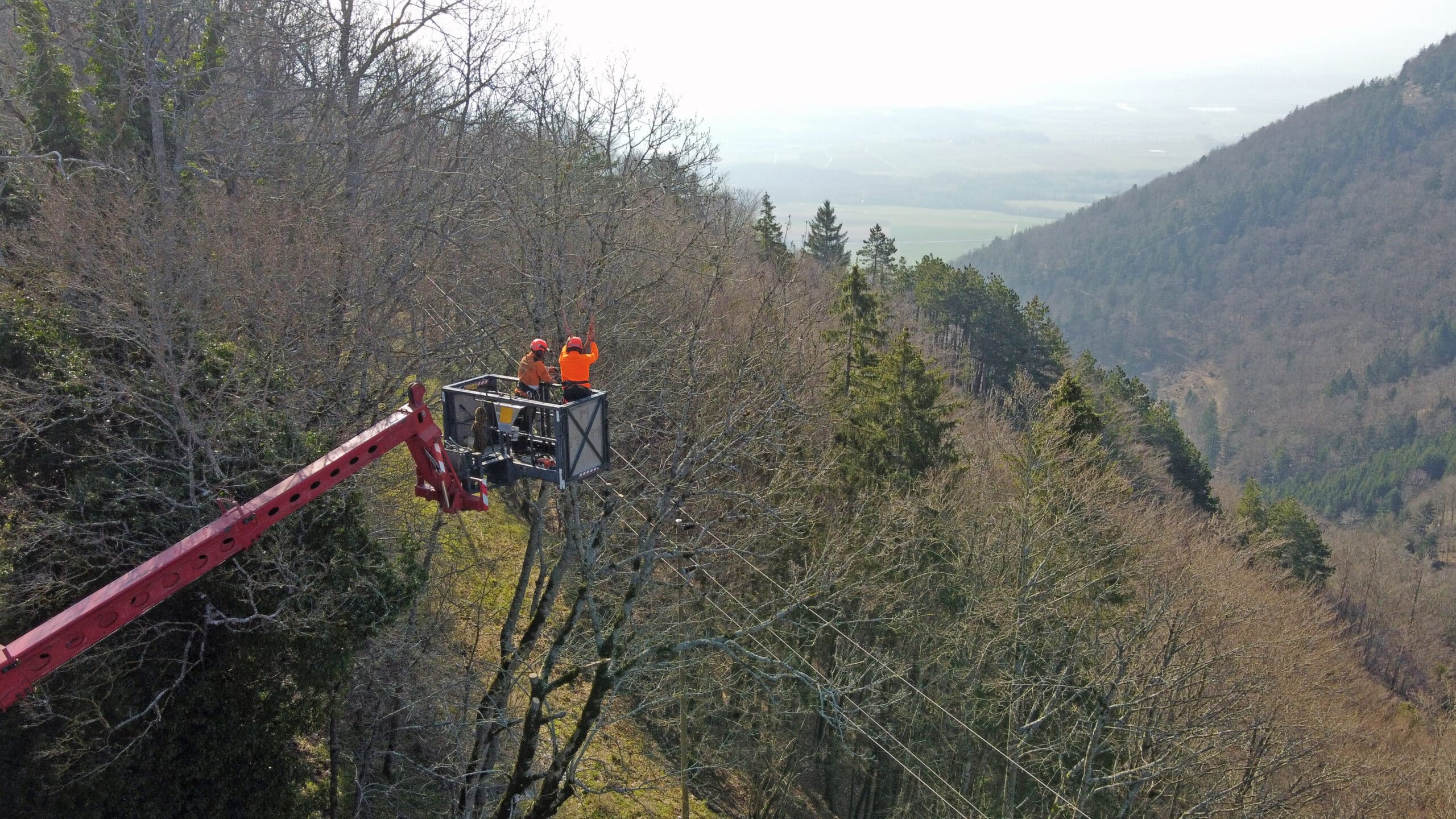 Lignes électriques