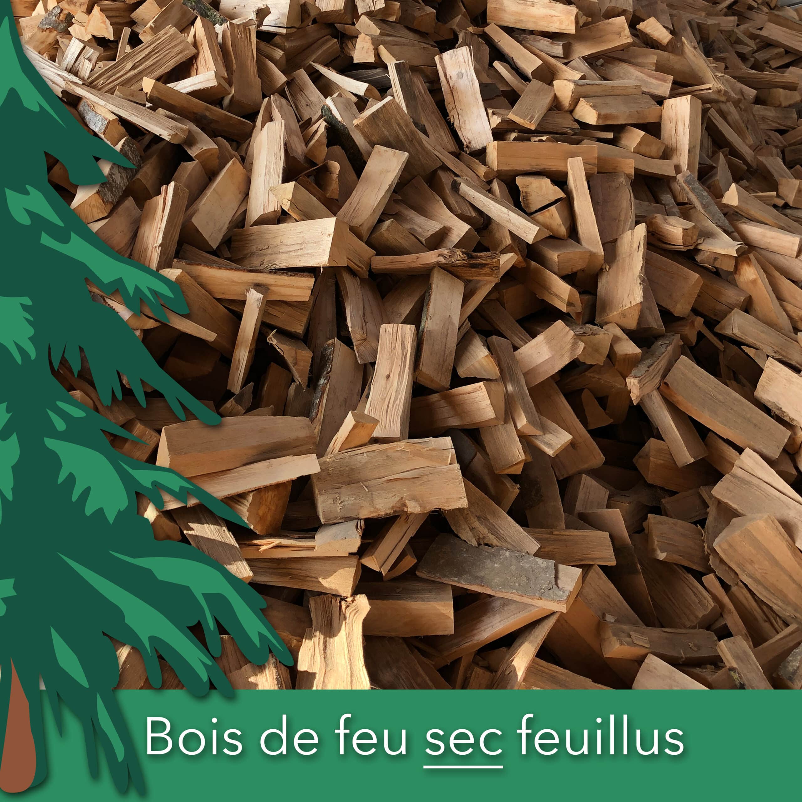 Bois de feu sec feuillus